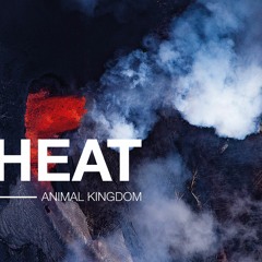 [OB007] Animal Kingdom - Heat