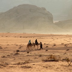 Trip to Desert