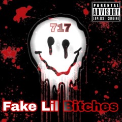 Fake Lil Bitches (Official Audio)(2024) Prod. Valdo