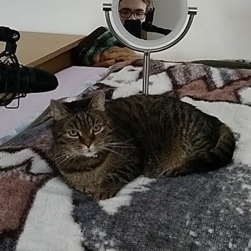 Tomova Ranní Show 2