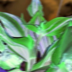 All gone with the wind