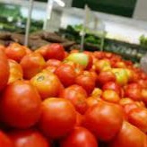 Carlos Giménez, ministro del MAG, sobre escasez de tomates, cebollas y papas