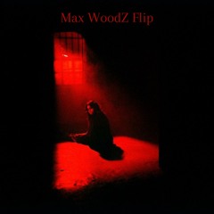 Ari Abdul - Cursed (Max WoodZ Flip)
