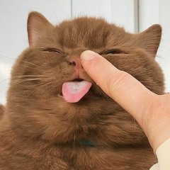 тихий крик помощи.