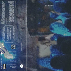 loopgames iv rare ass snippet (cassette only)