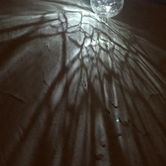 stepped into your garden