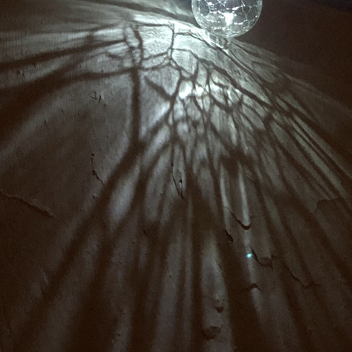 stepped into your garden