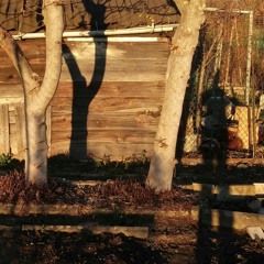 Shadowman (Prelude)