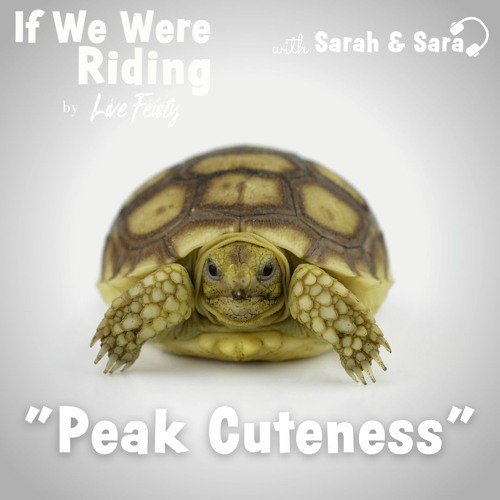 **REBROADCAST** #170 Peak Cuteness