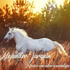 Alejandro Jarquin - Mexico Lindo y querido.mp3
