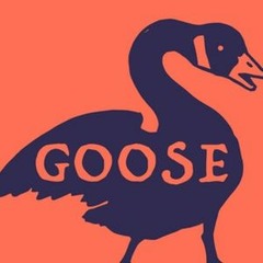 Goose - Seekers On The Ridge Part II 6-18-21