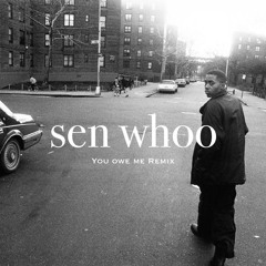 Nas - You Owe Me (sen whoo Remix)