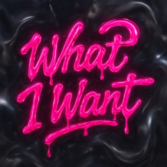 What I Want (Radio Edit)