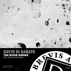 PREMIERE: David Di Sabato - The River Knows (Faraday (ITA) Remix) [Dear Deer White]