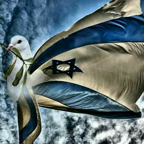 MEDLEY PROIBIDÃO DA CIDADE ALTA 🇮🇱 (MC's A MIDIA - S3 - POPULAR) TROPA DO JAMELÃO | EQP. CAÇA URSO