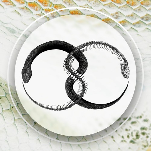 GREY • Circadian Rhythms [Full Circles Gathering]