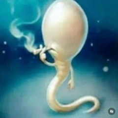 НОВАЯ МУЗЫКА  ПРОД ММММММБИЧ СУКА