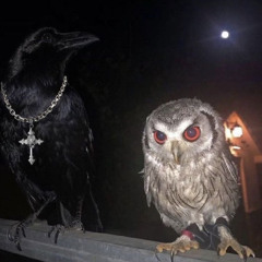 `luvslugx’- OMD [prod. ayyrage] #GiTC #AG