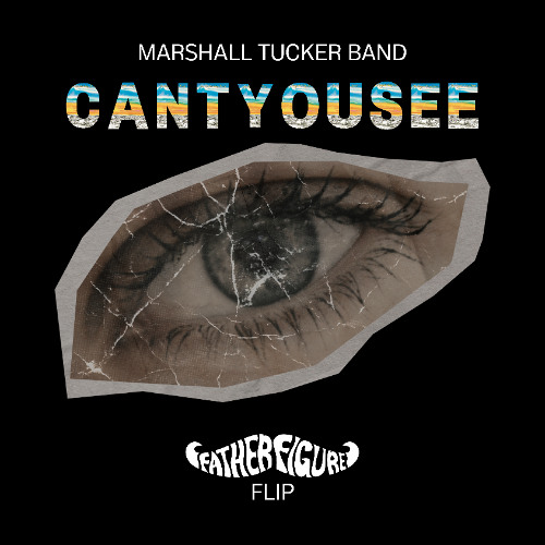 Cant You See (Father Figure Flip)