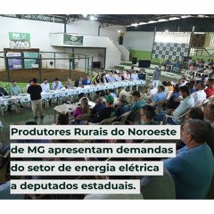 Produtores Rurais Noroeste de MG apresentam setor de energia elétrica a deputados estaduais