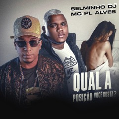 QUAL POSIÇÃO VOCÊ GOSTA ((SELMINHO DJ)) MC PL ALVES