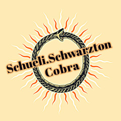 Schueli.Schwarzton - Cobra (Melodic Trance Mix)