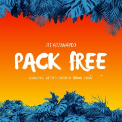 PACK FREE EDICION I GUARACHA - BEATSWAPDJ 2024