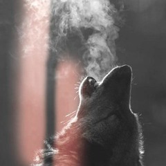 Michael Badal - Cold (Original Mix)