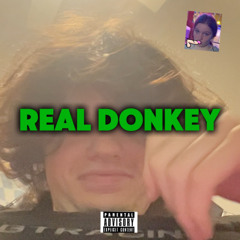 Real Donkey