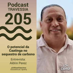 O potencial da Caatinga no sequestro de carbono - Travessia 205