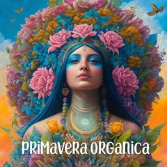 Ilija Frapp - Label Primavera Organica Mix