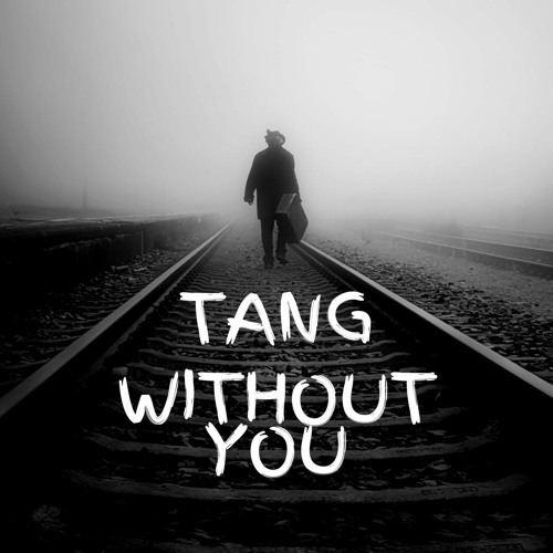Tang - Without You [1K Followers Free Download]