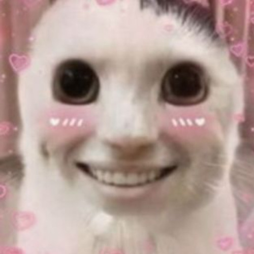 Goreshit - Strawberry Cheesecake | Daycore