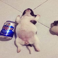 canção de suicídio;