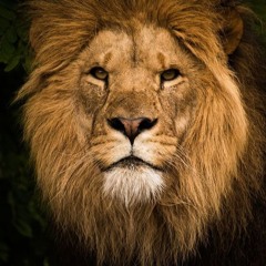 NỬA VẦNG TRĂNG - HƯƠNG LY X JayC Ft. Huy PT Remix Bản FULL HOT TIKOK