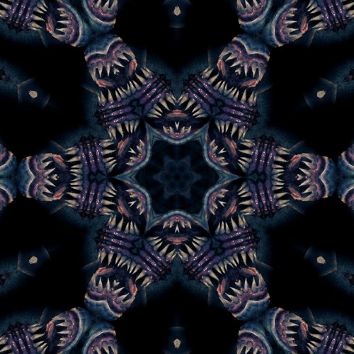 PANICXMODE [LoopDiggers March Flip Chain]