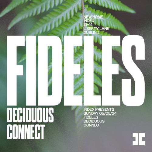 Fideles @ Index Dublin - Deciduous warm up set