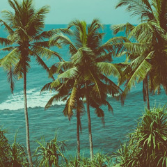SELF INVITED  DJ MAXVILLE  ISLAND MOOMBAH CHILL  2023 REMIX.mp3