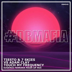 Tiesto & 7 Skies Vs Adam Clay - Touch My Frequency (Eugenio Ferrara Mash-Up Mix)