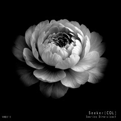 [VRD010] Seeker (COL) - Sentido Dimensional [Previews]