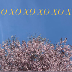 xo