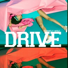 DRIVE | Shadows| 80's type | $50.00 L $200.00