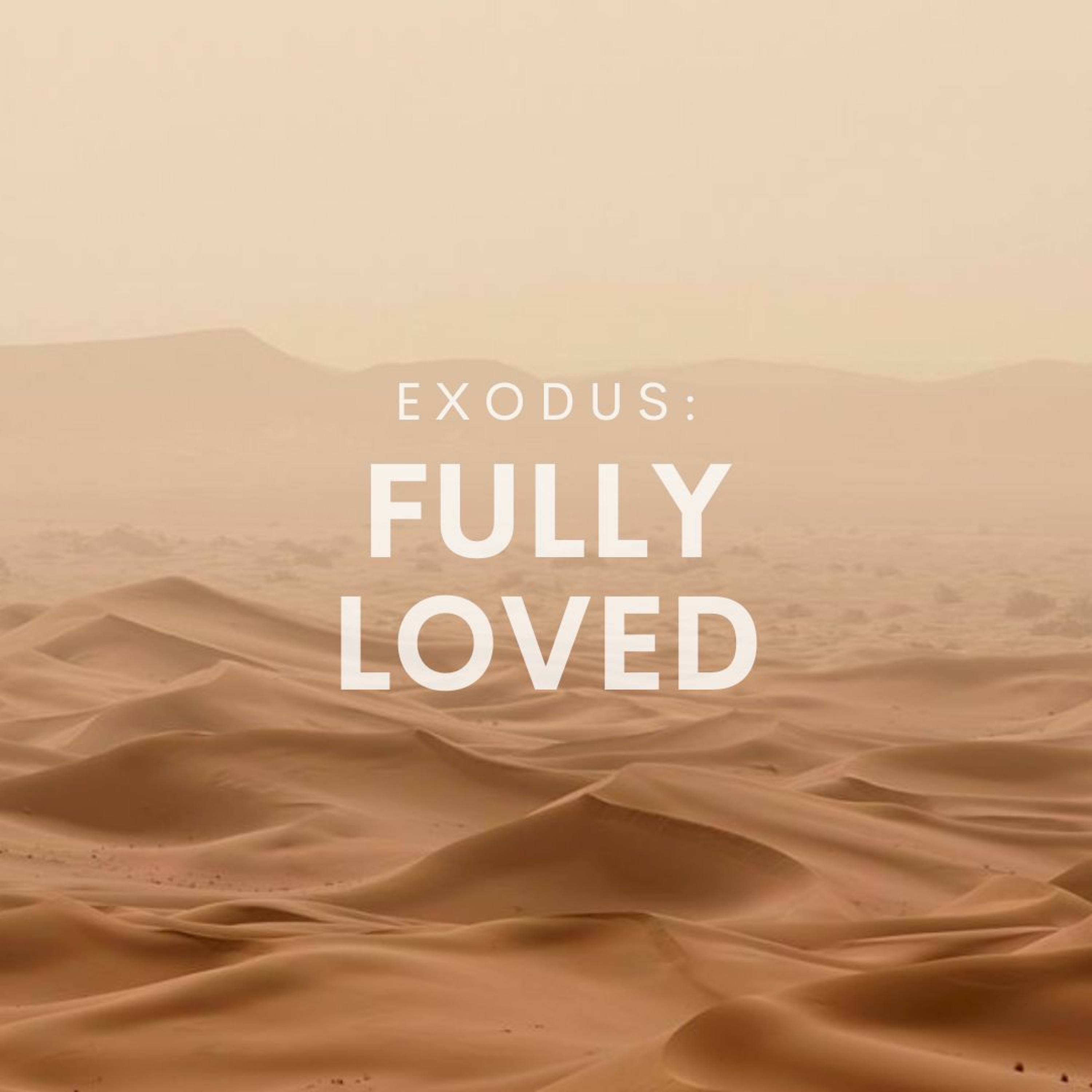 Fully Loved - Alex Kim episode artwork