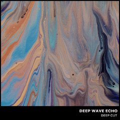 Deep wave echo - Inmersion (Dubrovnik (UK) Remix)