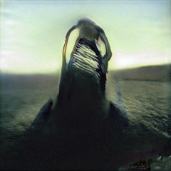 global goon - 30.08.22 / clomplexityr