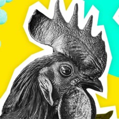 01 REC - 2023 - 04 - 06