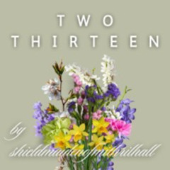 Two Thirteen