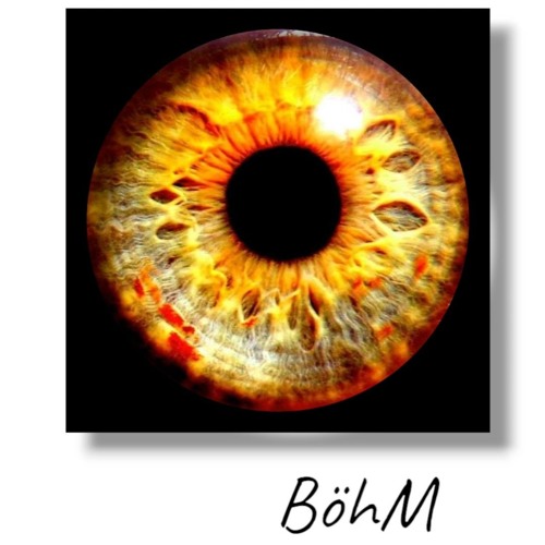 BöhM - If you don't mine  ( Live acoustic avec Kévin 🎸)