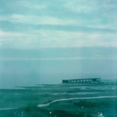 wlr194 The Volume Settings Folder - Corporate Shamanism