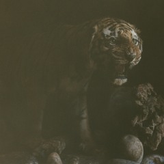 Flashback (feat. Devin Morrison & Pink Siifu)